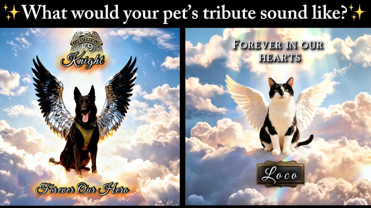Still With Me — Custom Pet Memorial Song & Pet Loss Grief Guide
